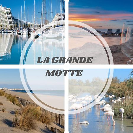 Le Dream Beach-Terrasse-Vue Mer D'Exception-Wifi-Parking - Top Pros Servicesconciergerie Palavas-les-Flots Exterior photo